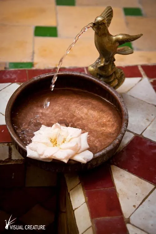 Riad Amiris Marrakesh